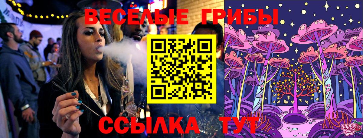 Сунжа  Псилоцибиновые грибы Cubensis  Вход с VPN 